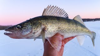 Jigging for MidWinter Walleyes Ice Fishing 2019 [upl. by Alrrats298]