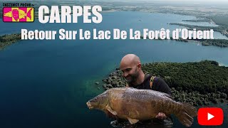 CARPES RETOUR SUR LE LAC DE LA FORET DORIENT [upl. by Magdalene]