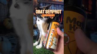 Obat kutu kucing racunshopee barangunikshopee obatkutukucing [upl. by Buderus568]