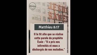 Verset Biblique Du Jour  Matthieu 817  Le Christ Porteur de Nos Souffrances [upl. by Ursuline]