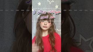 foryou funny subscribe crimestory ترند memes scary animals tiktok cute shortvideos video [upl. by Ahsened]