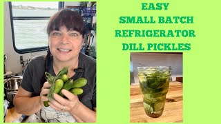 Small Batch Refrigerator Dill Pickles [upl. by Mortimer]