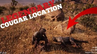 Red Dead Redemption 2  Legendary Cougar Map Location  How To Catch It [upl. by Dallman926]