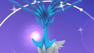 Xerneas Raid Hour  Shiny Hunt  LIVE  Pokemon GO [upl. by Llireva]