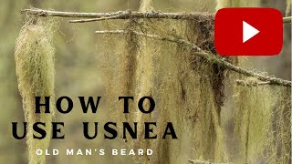 How to Use Usnea or Old Mans Beard [upl. by Conias]