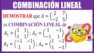 COMBINACIÓN LINEAL DE MATRICES  Algebra Lineal [upl. by Devina641]