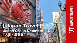 【Travel】Japan Osaka Dotonbori 4K 大阪・道頓堀 [upl. by Earazed]