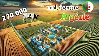 LAlgérie construit la plus grande ferme du monde de la taille de tous les pays confondus [upl. by Grissom294]