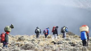 KILIMANJARO  7 Summits of the World [upl. by Davilman808]