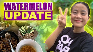 My last visit at my farm before I leave 🥲My watermelon updates Life of a remote village girl [upl. by Diane-Marie]