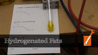 Hydrogenation transform liquid oil into solid fat [upl. by Macegan]