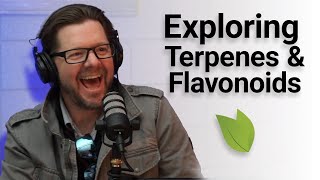 Terpenes amp Flavonoids Unveiled [upl. by Luapleahcim321]