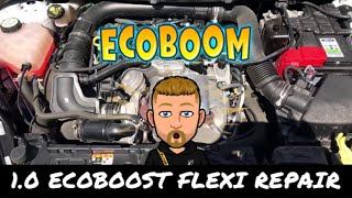 10 ECOBOOST FLEXI REPAIR [upl. by Ger]