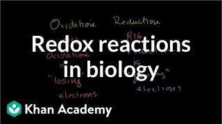 Oxidation and reduction review from biological pointofview  Biomolecules  MCAT  Khan Academy [upl. by Assed]