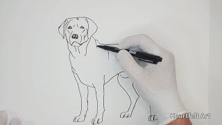 Draw a Labrador Retrieverspeed painting [upl. by Hulen]