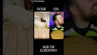 DOGE VS SOMEONE EPIC EATING BATTLE funny funnymemes [upl. by Lottie57]