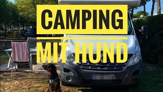 Camping mit Hund  Camping Village Cavallino [upl. by Maddox672]