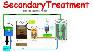 Secondary treatment of wastewater [upl. by Sapowith]