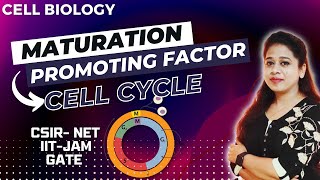 Maturation Promoting Factor in Cell Cycle  Mitosis Promoting Factor  CSIR NET  Cell Biology CSIR [upl. by Aydne]