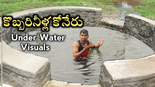 కొబ్బెర నీళ్ల కోనేరుUNDER WATER VISUALS Village Vihari [upl. by Lanahtan]