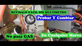 Calefon ionizado NO PASA GAS revisar MÓDULO DE ENCENDIDO Y TERMOSTATO [upl. by Inohs]