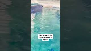 How to survive a Hippopotamus attackytshortsakankshamishra [upl. by Hairahs152]