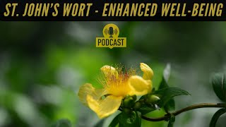 St John’s Wort Journey to Enhanced WellBeing [upl. by Stig]