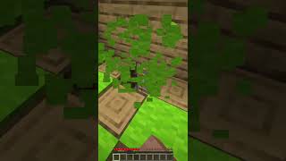 He Took my Dog and Made me start my Villain Arc shorts meme minecraft [upl. by Oreste]