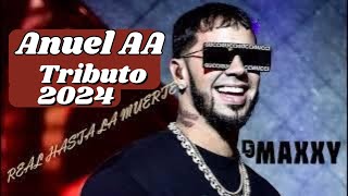 Mix Anuel AA Tributo Anuel AA 2024 VOL01  DJ MAXXY [upl. by Morven]