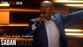 Saban Saulic  Srno moja malena STARK ARENA 2018 [upl. by Antonin]