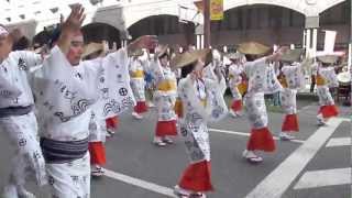 Ohara Festival 2011Kagoshima☆Nov3rd♪Hanyabushi Dancing♪ [upl. by Ahsikyt]