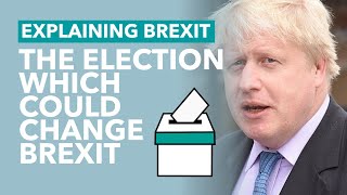 The ByElection That Could Shape Brexit  Brexit Explained [upl. by Zined]