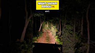 Night Safari Pench Tiger Reserve  Monsoon Safari  Khawasa Gate  Famous Tigress Jugni wildlife [upl. by Recnal]