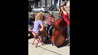 The Farwells Dusty Miller Old Time Fiddle Tune Debra Clifford amp Becca Wintle [upl. by Sion]