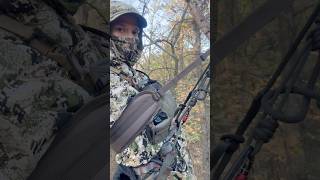 Saddle Hunting MAJOR Cold Front… 2024 deerhunting outdoors bowhunt subscribe saddle October [upl. by Anayrb25]