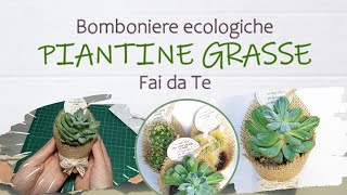 Piante grasse│BOMBONIERE ECOLOGICHE Fai da Te│TUTORIAL│i Quattro Elementi  Naturalis Solutio [upl. by Evangelia310]