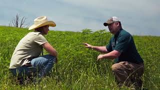 Creating Native Grassland Ecosystems for GroundNesting Birds [upl. by Bartolome]