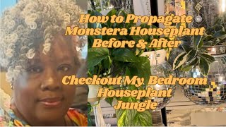 Checkout My Bedroom Houseplant Jungle How to Propagate Monstera and Pothos Plants Quick and Easy [upl. by Sakram]