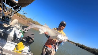 Pilbara fishing  chasing barra’s [upl. by Nerad760]