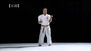 Sanchin kata by Goshi Yamaguchi [upl. by Ontine948]