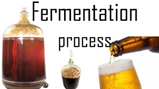 Fermentation process  fermentation biology in yeast [upl. by Joelle]