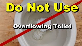 Fix Overflowing Toilet Easy DIY [upl. by Ela]