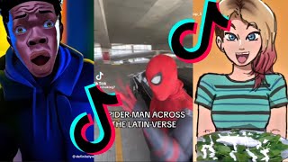 THE BEST SPIDERVERSE MEMES ON TIKTOK [upl. by Elsinore]