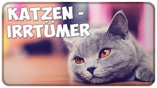 Die größten KatzenIrrtümer Die häufigsten Irrtümer und Märchen über Katzen [upl. by Udella981]