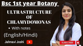 Ultrastructure of Chlamydomonas Notes Bsc 1st year Botany [upl. by Ari]