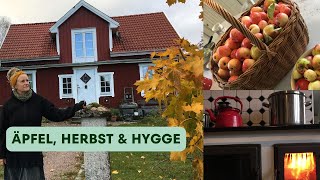 Unser Hof in Schweden  Ruhige und gemütliche Herbsttage im Waldhaus [upl. by Serene]