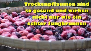 Trockenpflaumen sind so gesund und wirken nicht nur wie ein echter Jungbrunnen [upl. by Oahc]