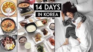 14 Days in Korea ♦ SO MUCH FOOD 🍲 🍰 🍜 [upl. by Alveta]