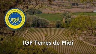 Les vins « Terres du Midi » reconnus en IGP [upl. by Nohsyar]