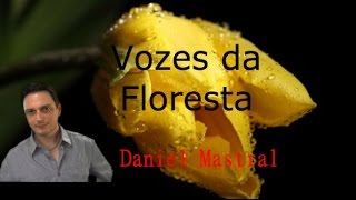 Daniel Mastral  quotVozes da Florestaquot [upl. by Notfilc]